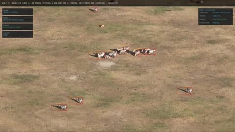 WOLF aerial containment monitoring on reserve