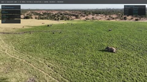 WOLF aerial view of reserve environment